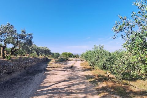 Finca i Rasquera, Tarragona, Rasquera - € 168.000 | Ref: CC799 - foto 20